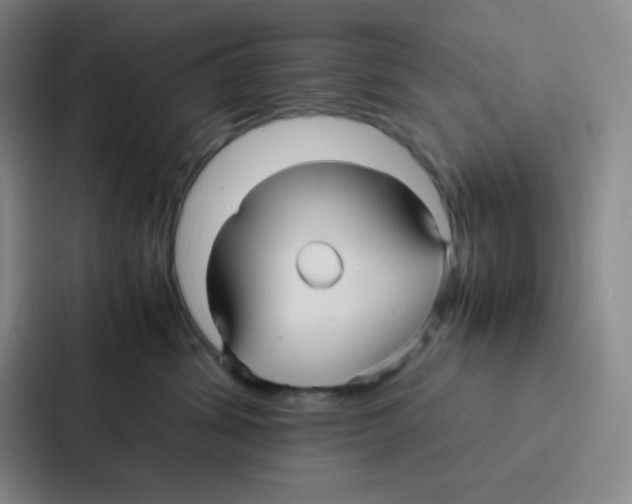 X0000086920428200705141726