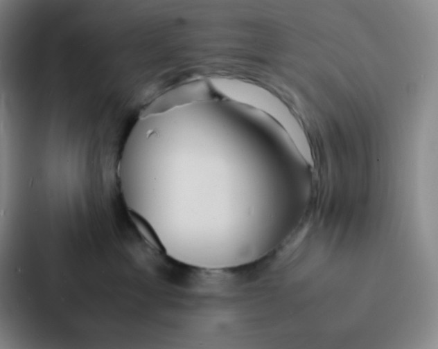 X0000086920429200705141726