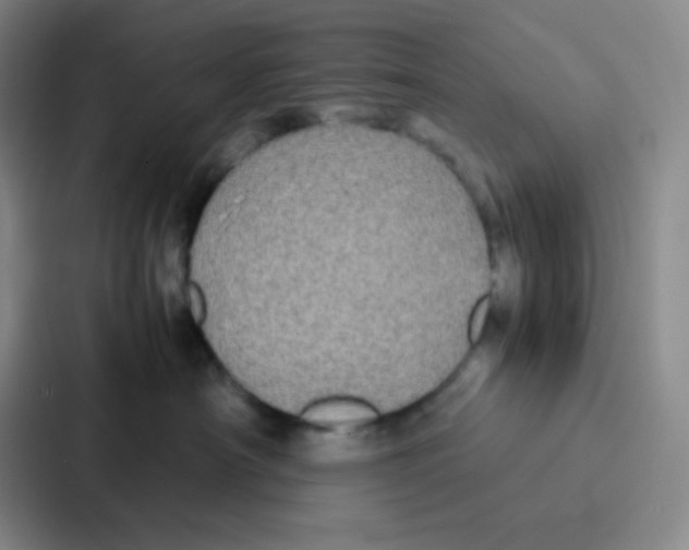 X0000086920430200705141726
