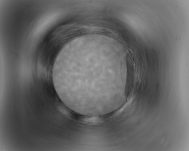 X0000086920431200705141726