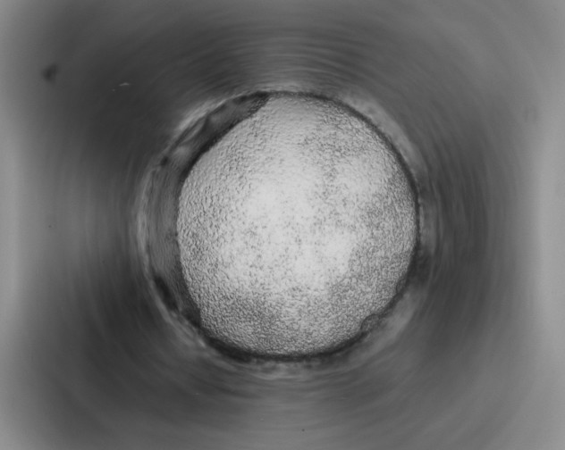 X0000086920434200705141725