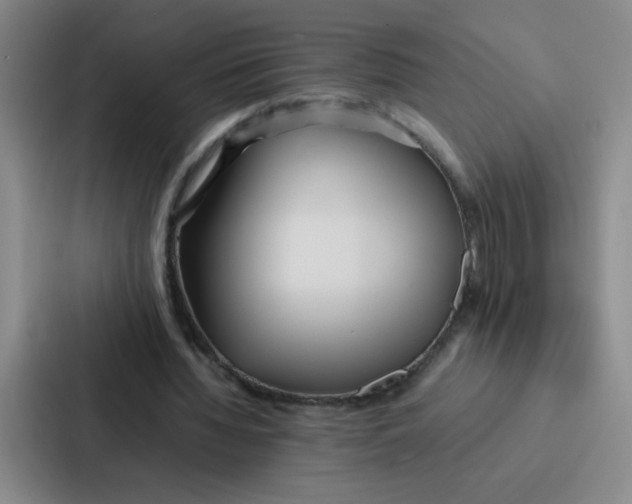 X0000086920436200705141725