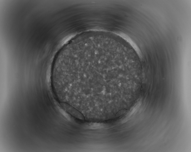 X0000086920437200705141725