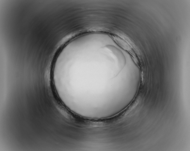 X0000086920438200705141725