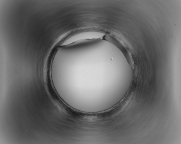 X0000086920440200705141725
