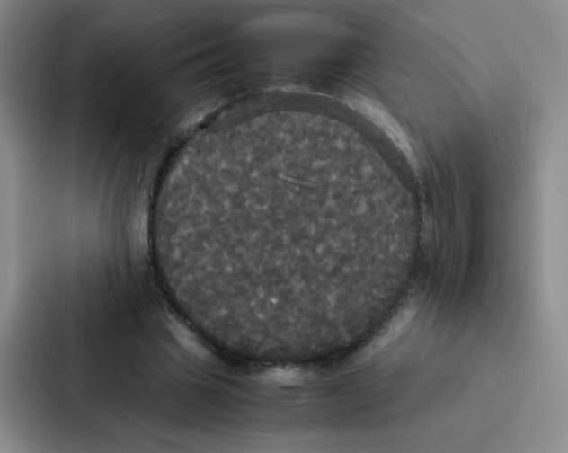 X0000086920441200705141725