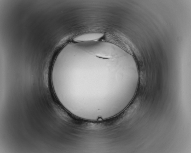 X0000086920442200705141725