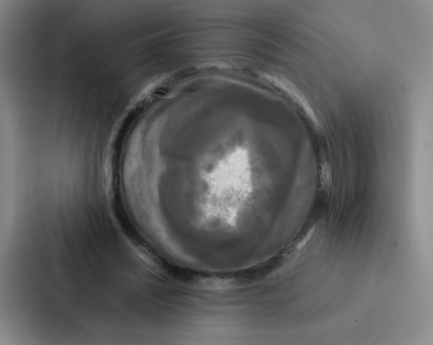 X0000086920444200705141725