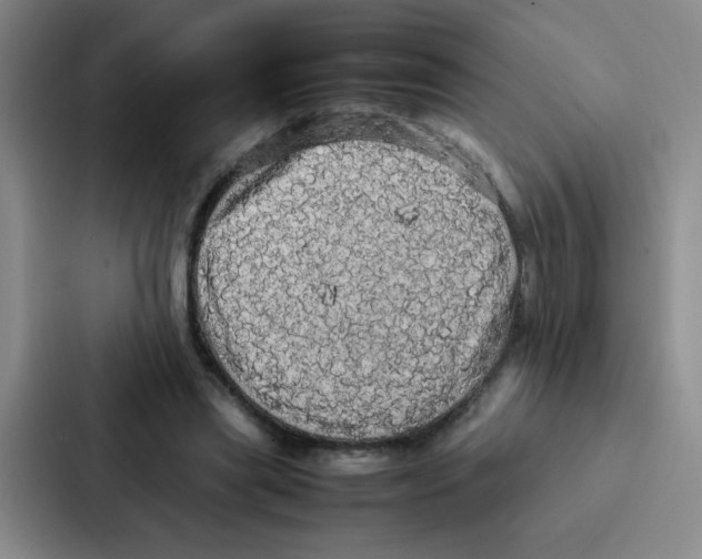 X0000086920445200705141725