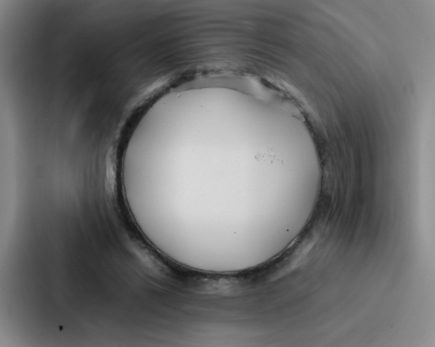 X0000086920446200705141725