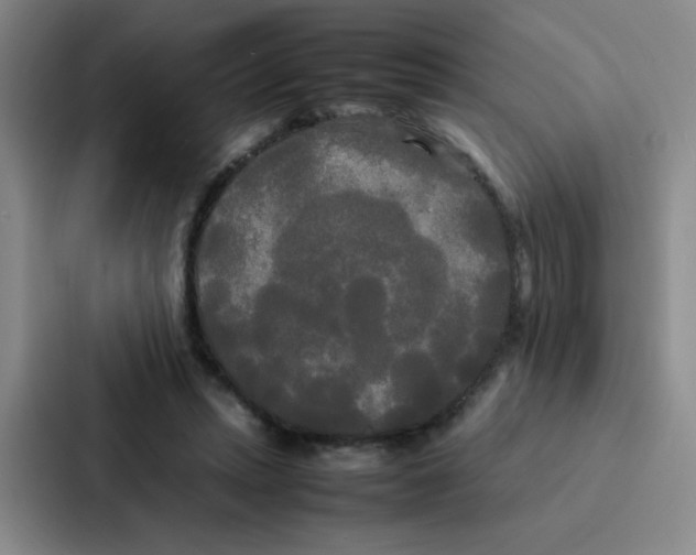 X0000086920447200705141725