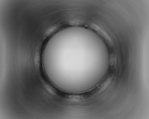 X0000086920448200705141725