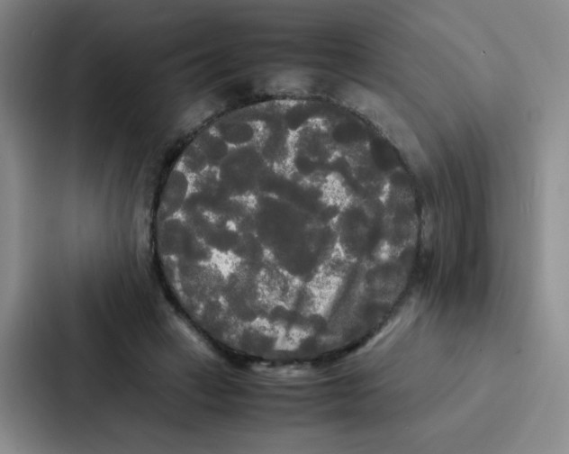 X0000086920449200705141725