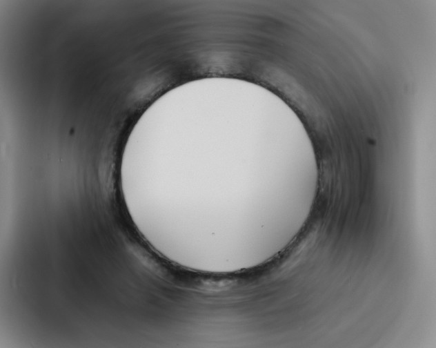 X0000086920450200705141725