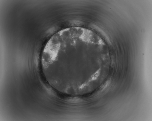 X0000086920451200705141726