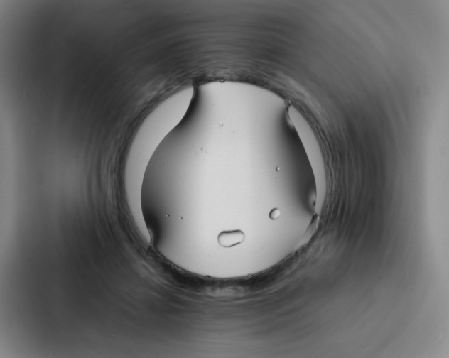 X0000086920452200705141726