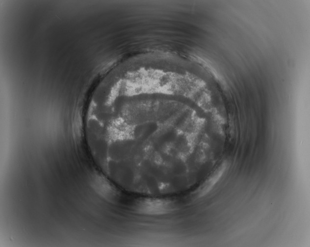 X0000086920453200705141726