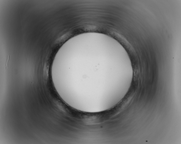 X0000086920454200705141726