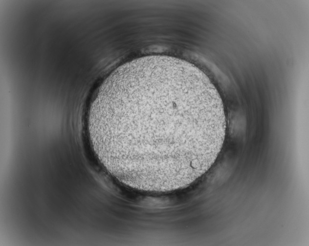 X0000086920455200705141726