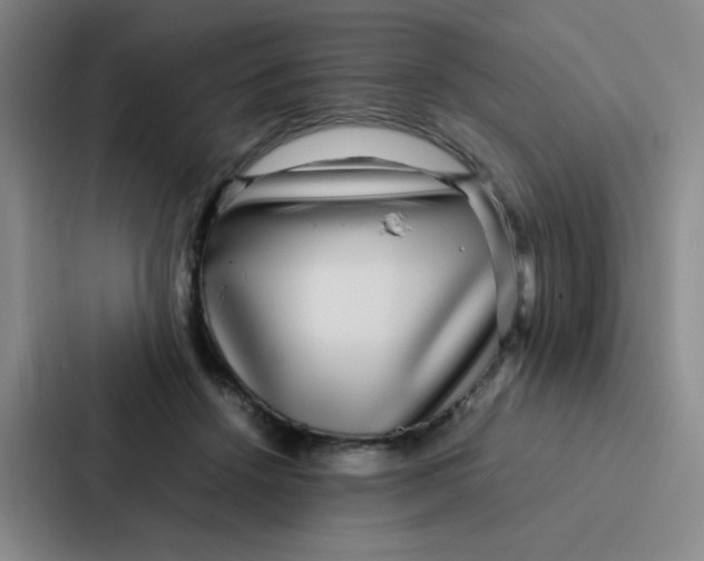 X0000086920456200705141726