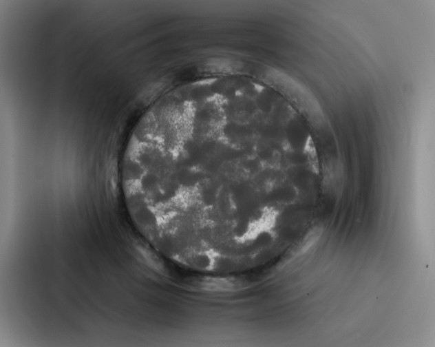 X0000086920457200705141726