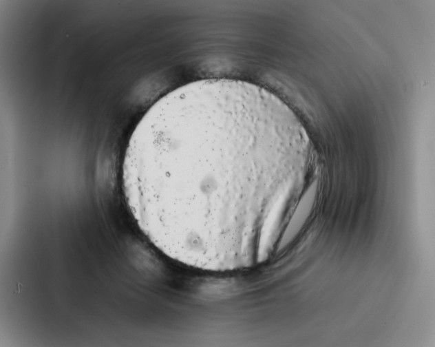 X0000086920458200705141726