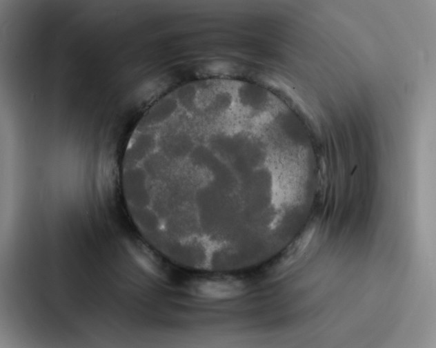 X0000086920459200705141726