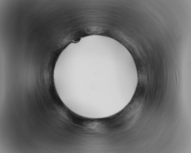 X0000086920460200705141726