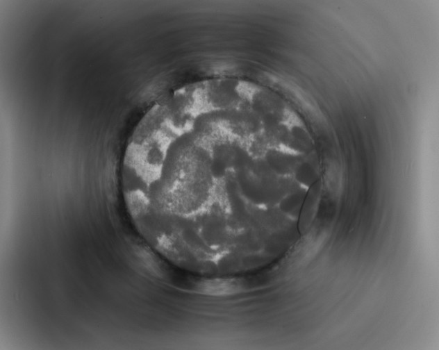 X0000086920461200705141726