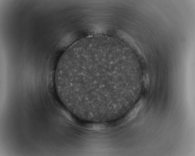 X0000086920462200705141726