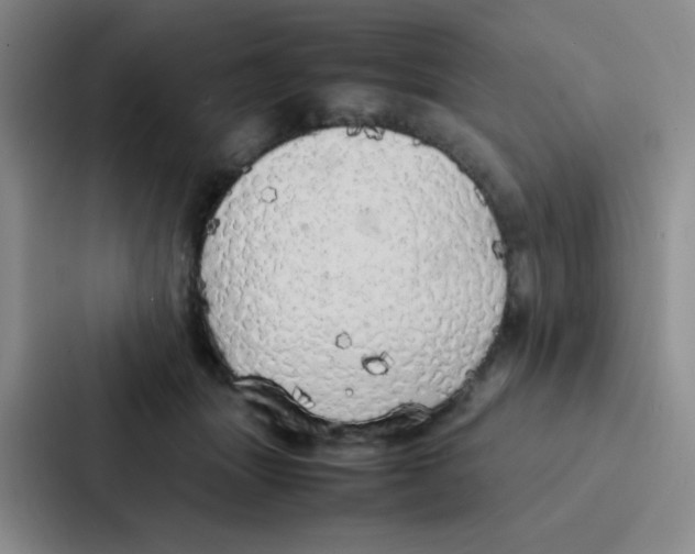 X0000086920463200705141726