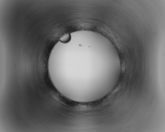 X0000086920464200705141726