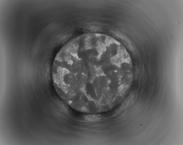 X0000086920465200705141726