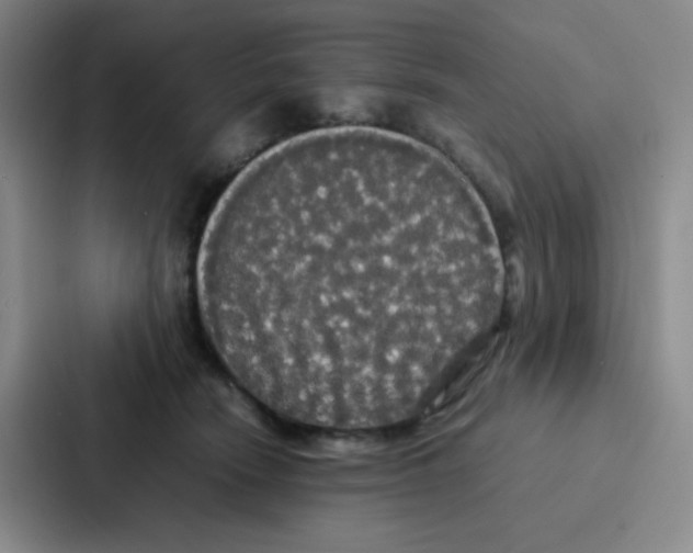 X0000086920466200705141726