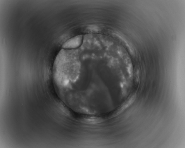 X0000086920467200705141726