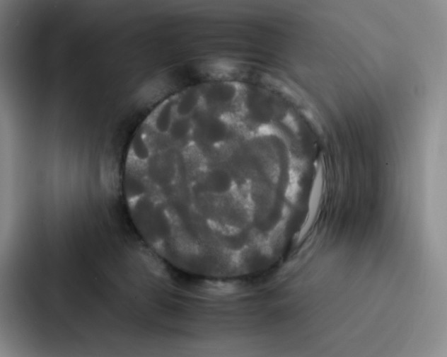 X0000086920469200705141726