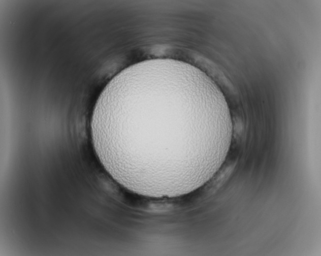 X0000086920470200705141726