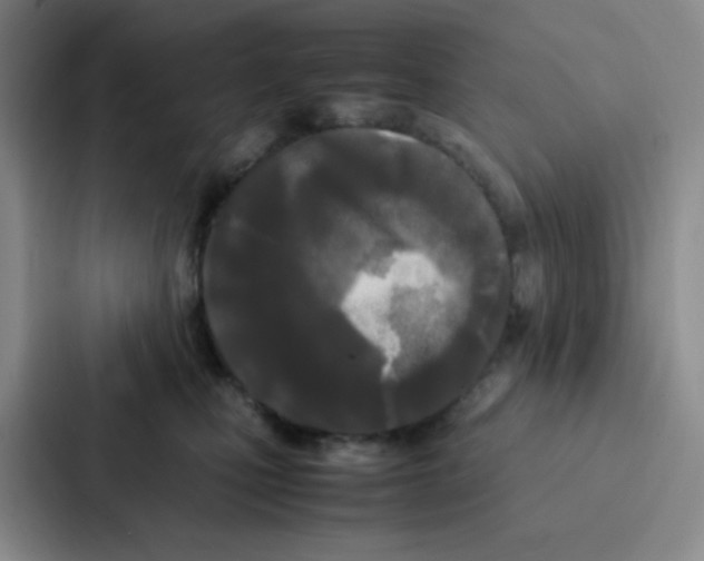 X0000086920471200705141726
