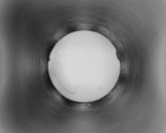 X0000086920474200705141726