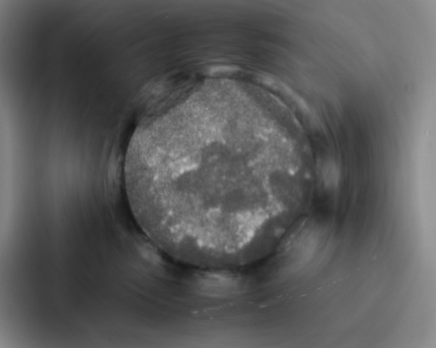 X0000086920475200705141726