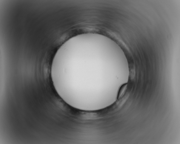 X0000086920476200705141726