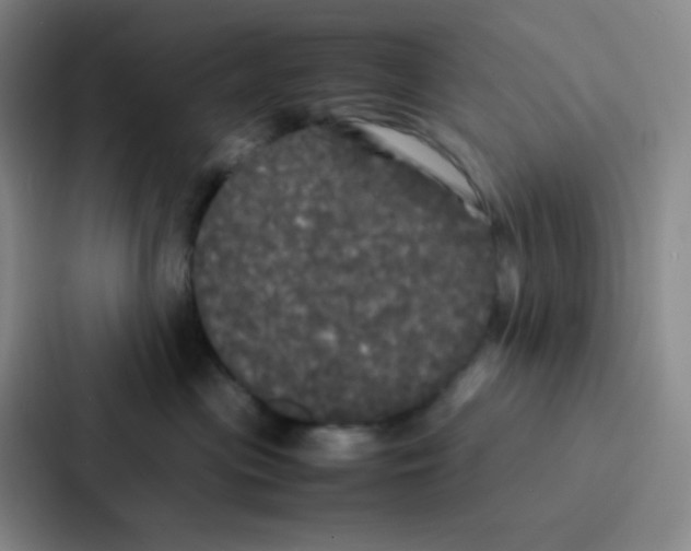 X0000086920477200705141726