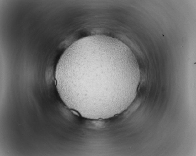 X0000086920478200705141726