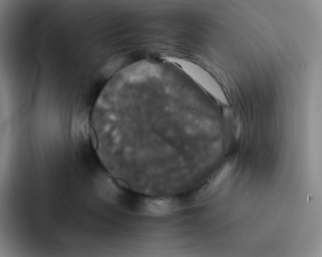 X0000086920479200705141726