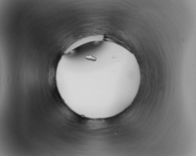 X0000086920480200705141726