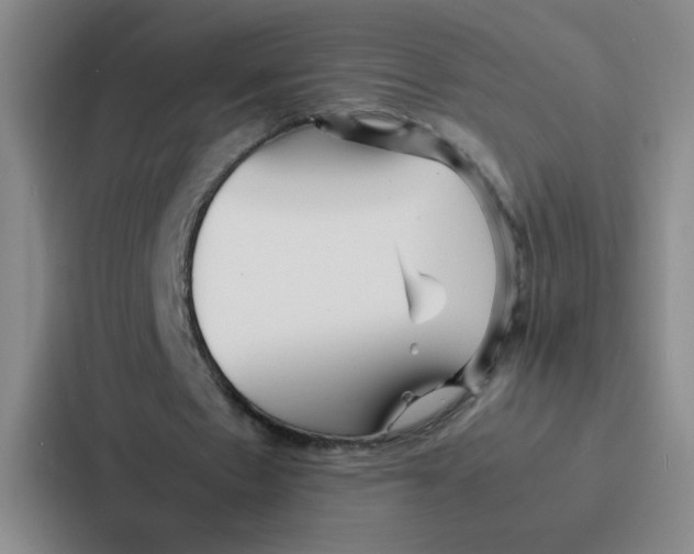 X0000086920481200705141725