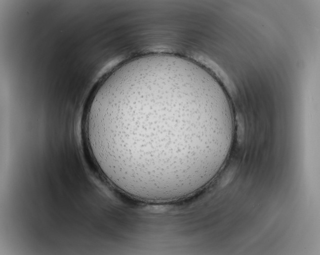 X0000086920482200705141725