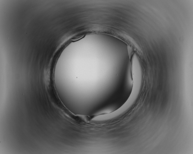X0000086920484200705141725
