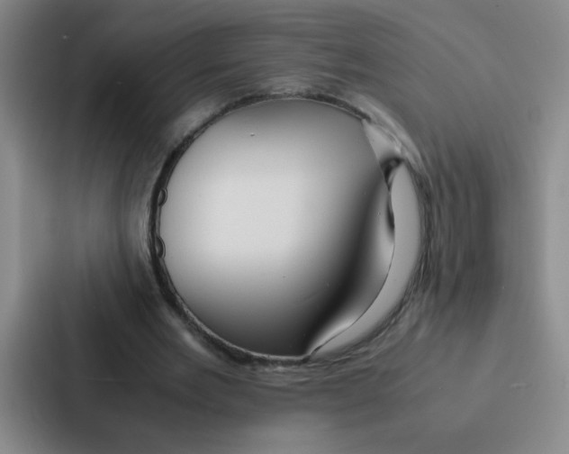 X0000086920485200705141725