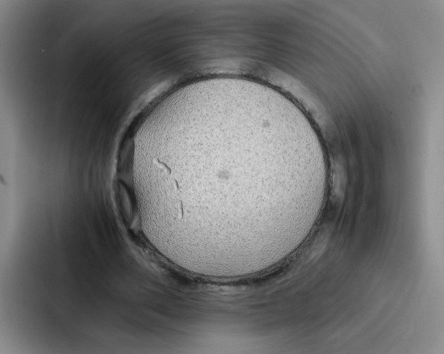X0000086920486200705141725